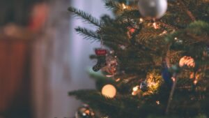 Christmas tree at the Beehive Montpellier